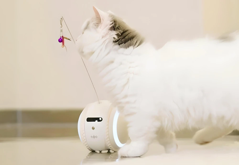 wireless pet monitoring camera