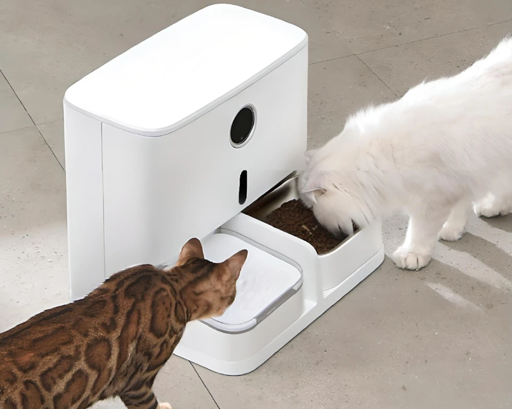 automatic pet food dispenser